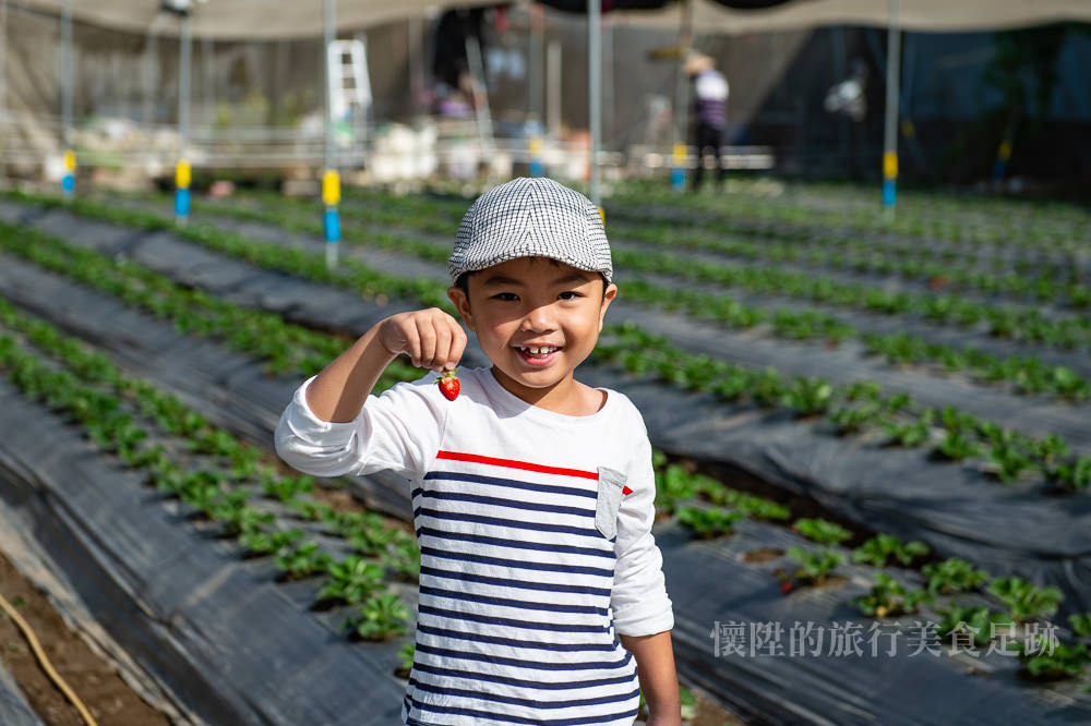【台南景點】草莓園的開心農場，台南市區體驗一日草莓農夫：台南開心有機農場