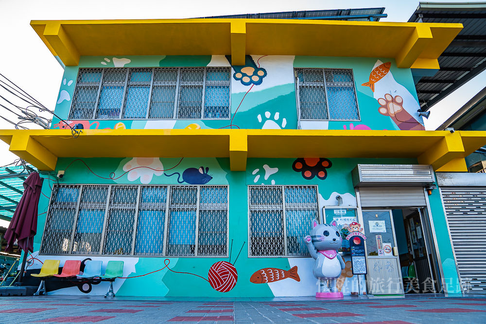 【台南景點】台南最大型3D毛孩子彩繪牆，認養寵物順便拍網美照：台南動物之家灣裡站