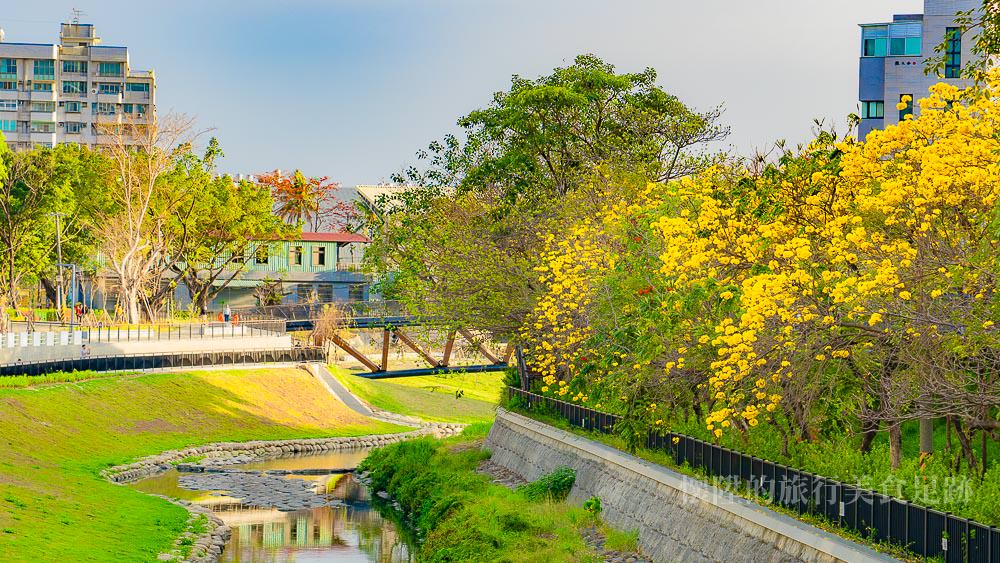 【台南景點】台南春天限定金色花海，帶你拍下最幸福時刻的模樣：竹溪河畔、億載公園
