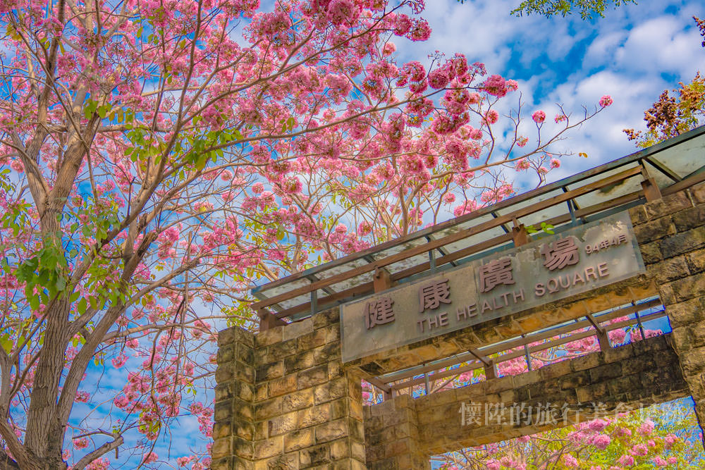 【台南景點】台南的浪漫粉色系，竹溪河畔旁的期間限定風景