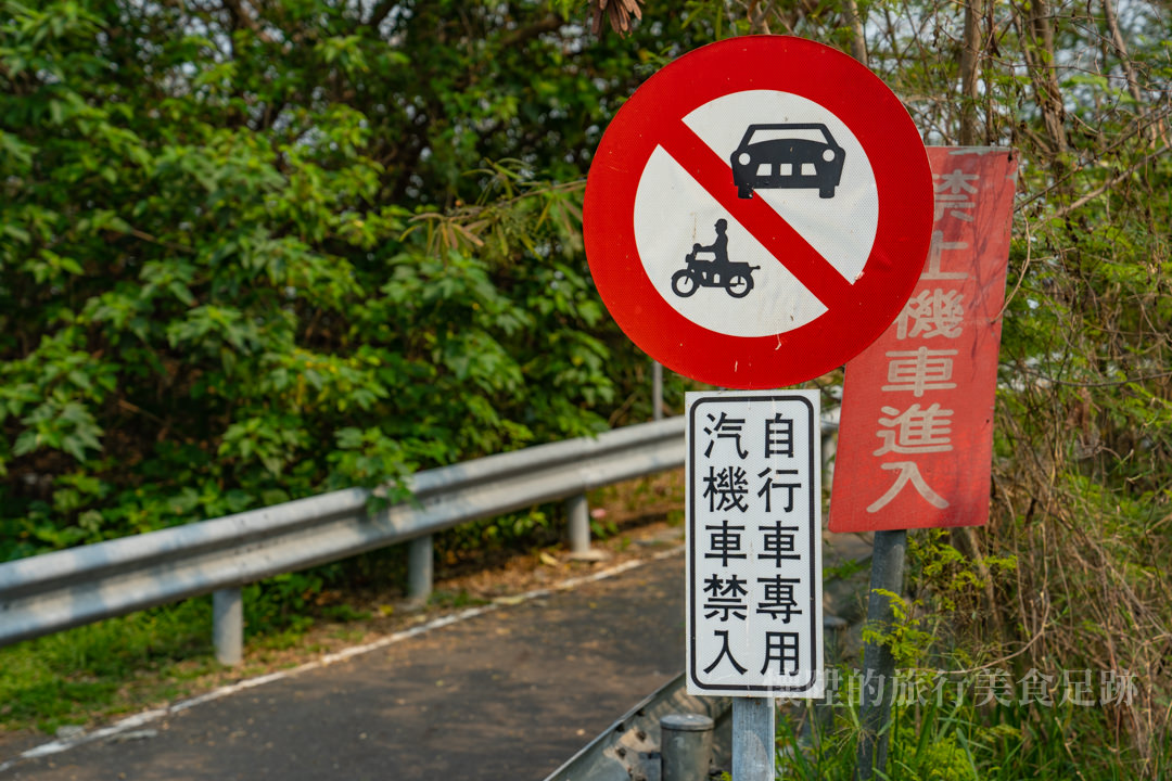 【台南景點】安平夢幻系單車綠色隧道，讓你一路向海直達天際：安平堤頂自行車道