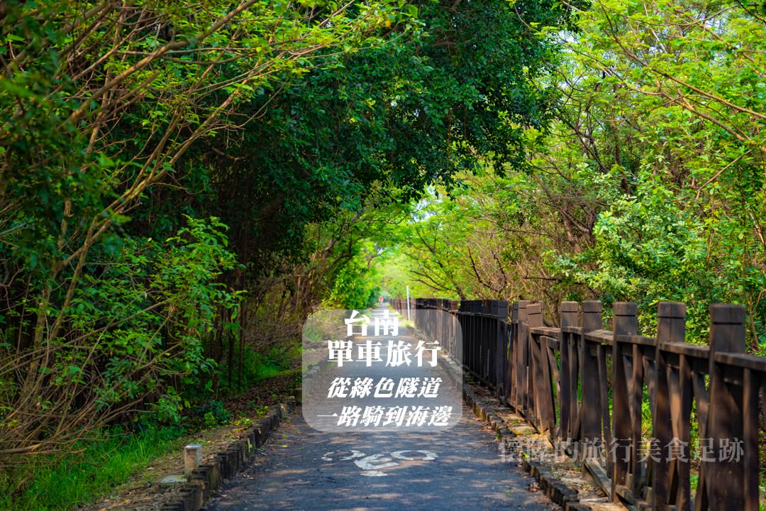 【台南景點】安平夢幻系單車綠色隧道，讓你一路向海直達天際：安平堤頂自行車道
