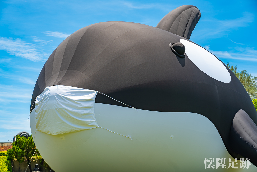 【台南景點】全球最大虎鯨ORCA可愛登場！目前正在億載金城隔離中，想一睹真面目快來：安平虎鯨 ORCA GO