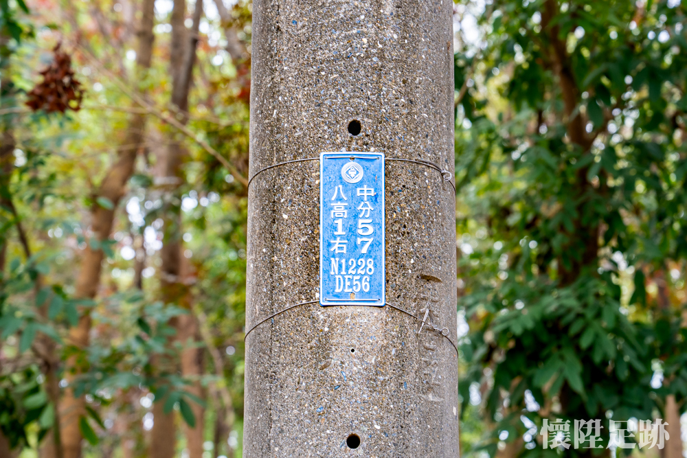 【台南景點】台南最接近龍貓的森林秘境步道！芬多精來這裡可以一次補足：川文山森林生態保育農場
