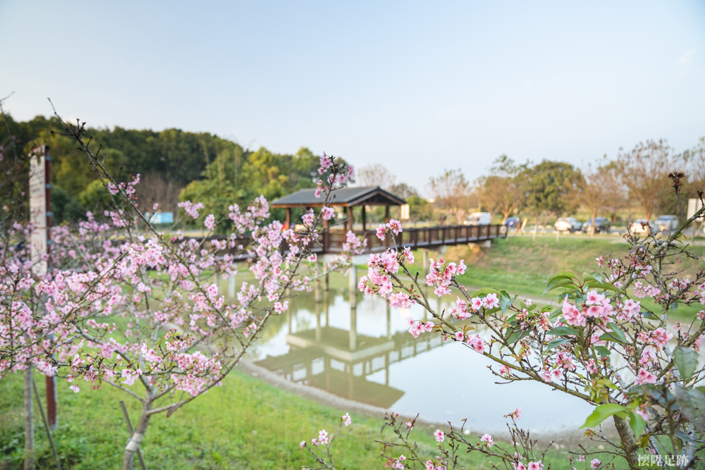 【台南賞花】台南櫻花開了！台南人的賞櫻私房景點，一起散步去吧：台南水道博物館「淨水池區」