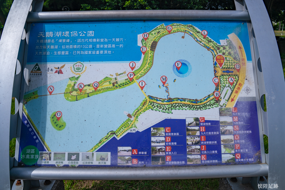 【台南景點】天鵝湖公園！豐富生態與自然景觀一次擁有，台南踏青的好去處~