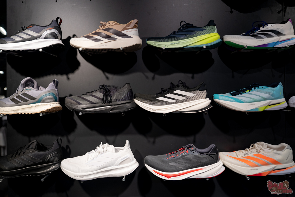 【台南特賣會】2026台南運動用品開春特賣!全館鞋衣特價5折起,滿額再享現金折扣,雙重折扣超划算!新年買新衣新鞋就來雷根運動用品中山旗艦店 【台南特賣會】2026台南運動用品開春特賣!全館鞋衣特價5折起,滿額再享現金折扣,雙重折扣超划算!新年買新衣新鞋就來雷根運動用品中山旗艦店